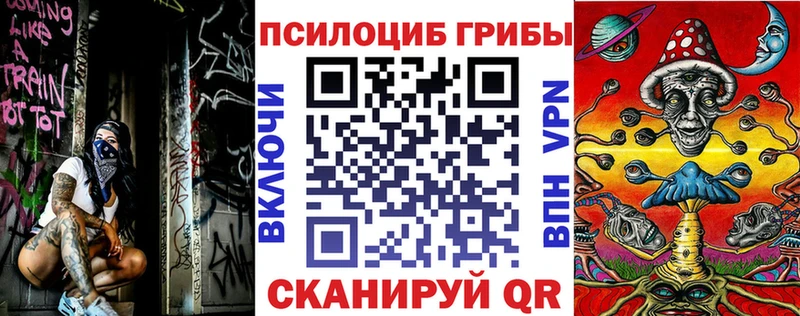 цена   Кувандык  Галлюциногенные грибы Psilocybe 
