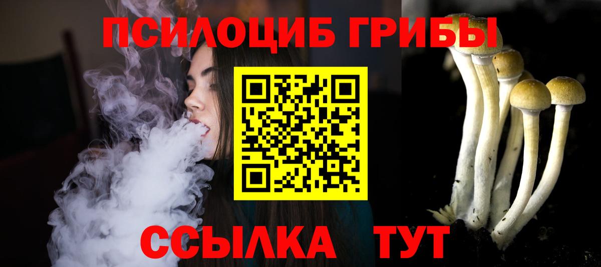 Кувандык  Галлюциногенные грибы Psilocybe  Вход с VPN 