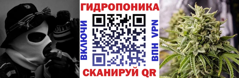 blacksprut сайт  Кувандык  Бошки Шишки SATIVA & INDICA  продажа наркотиков 
